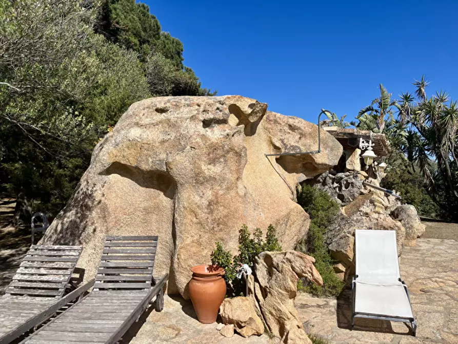 Immagine 61 di Villa in vendita  in via zara a Olbia