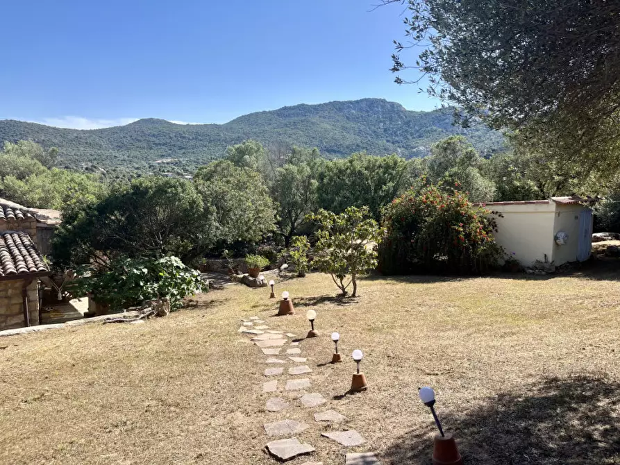 Immagine 67 di Villa in vendita  in via zara a Olbia