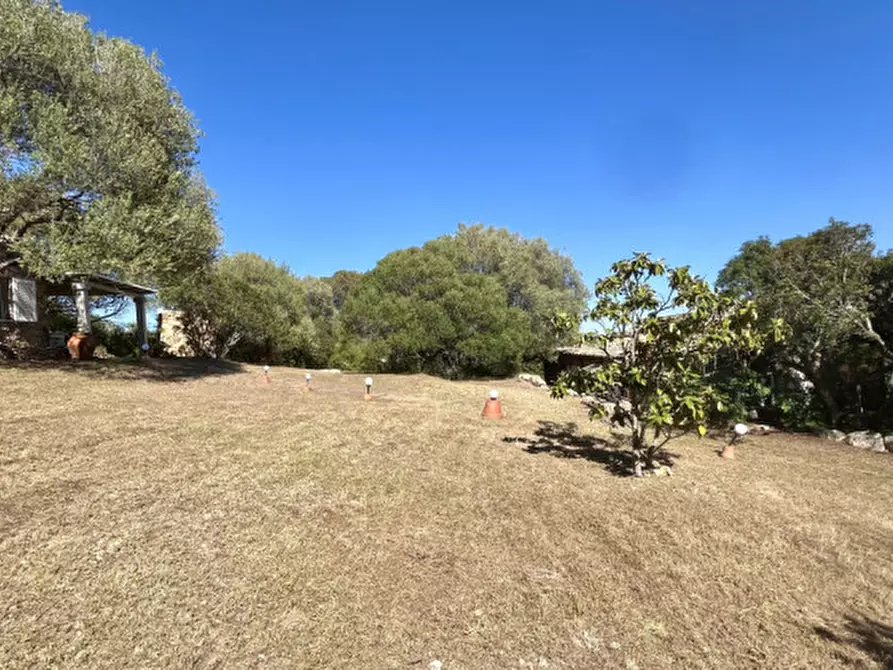 Immagine 69 di Villa in vendita  in via zara a Olbia