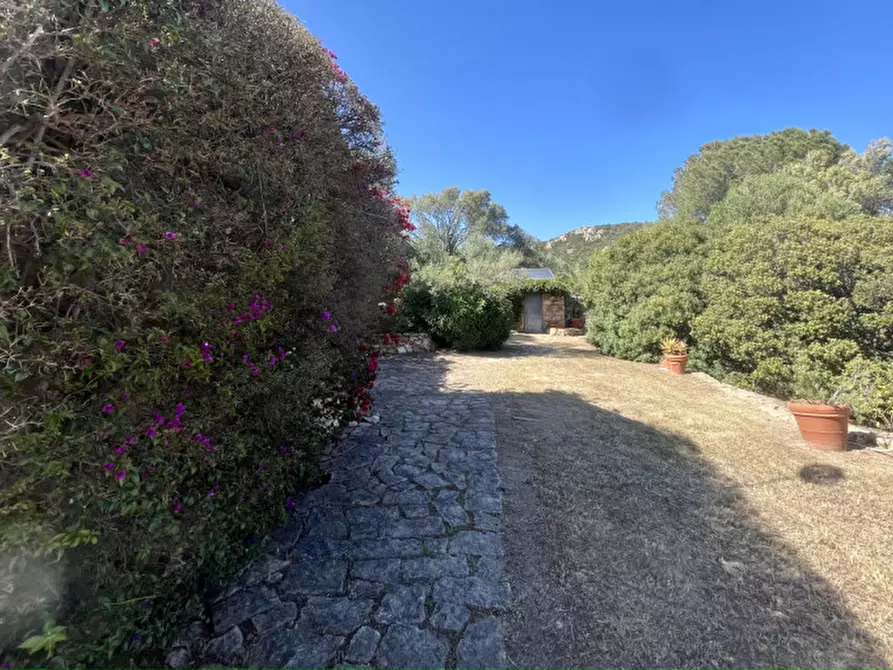 Immagine 70 di Villa in vendita  in via zara a Olbia