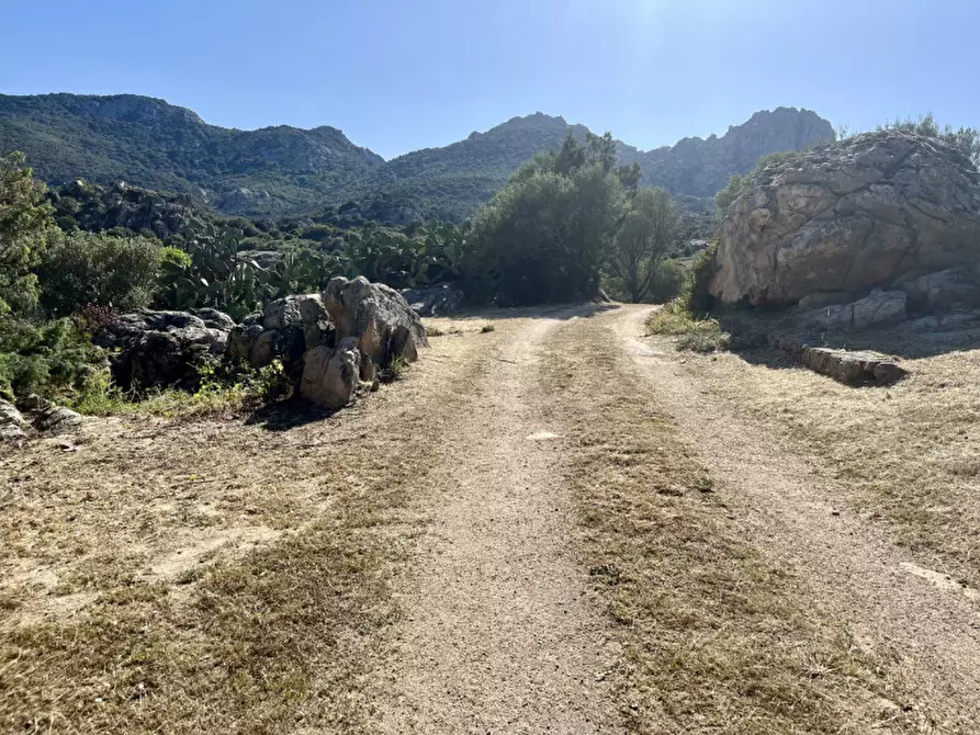 Immagine 71 di Villa in vendita  in via zara a Olbia