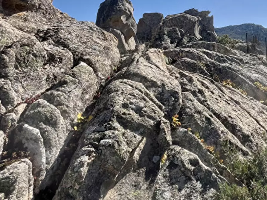 Immagine 72 di Villa in vendita  in via zara a Olbia