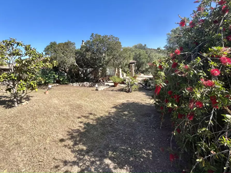 Immagine 73 di Villa in vendita  in via zara a Olbia