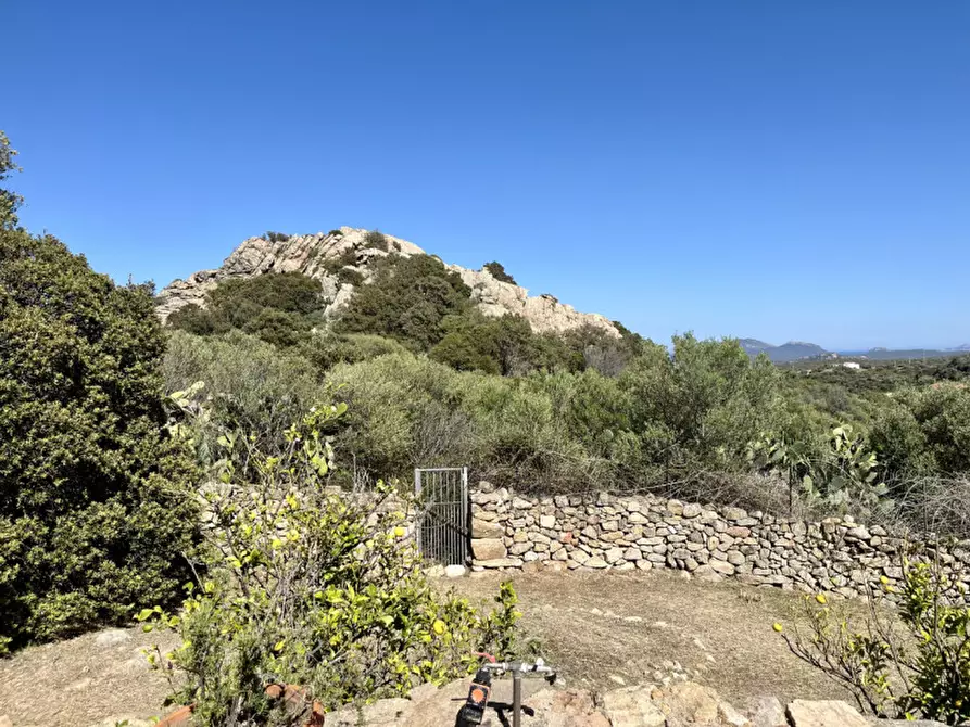 Immagine 74 di Villa in vendita  in via zara a Olbia