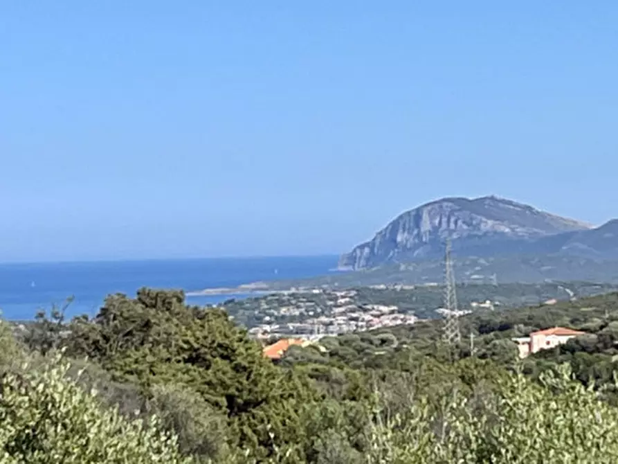 Immagine 76 di Villa in vendita  in via zara a Olbia
