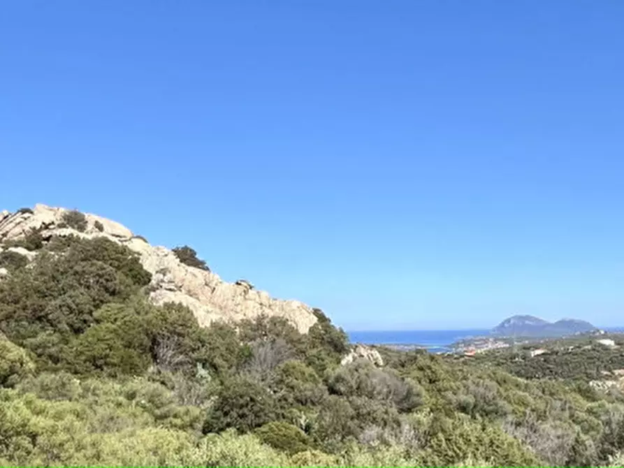 Immagine 77 di Villa in vendita  in via zara a Olbia