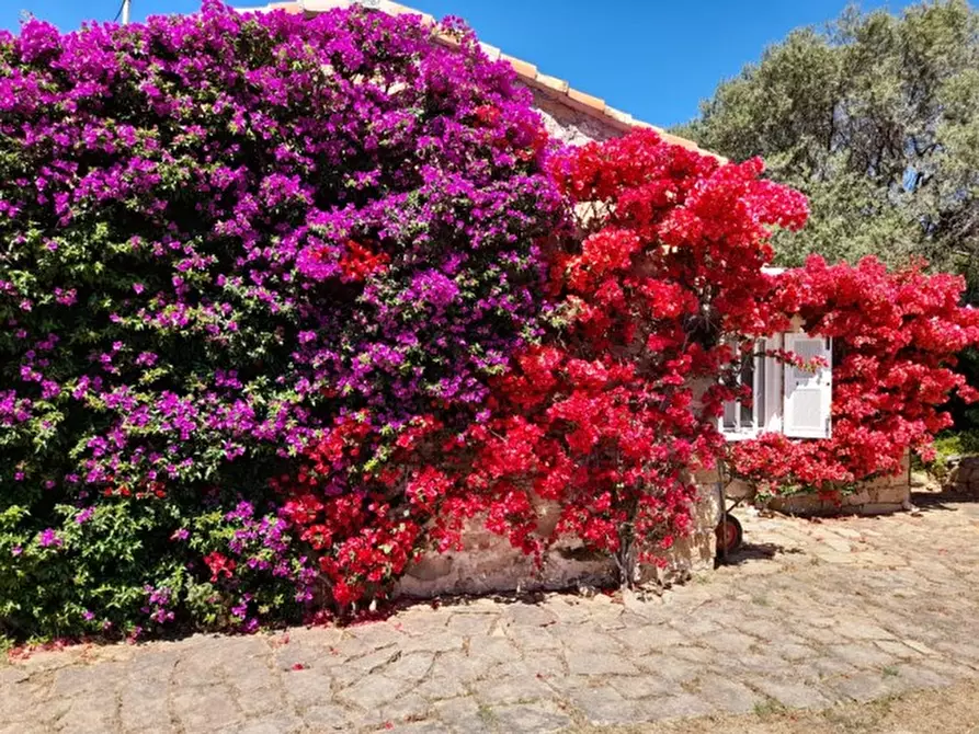 Immagine 79 di Villa in vendita  in via zara a Olbia