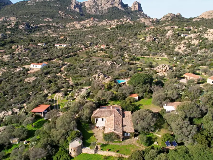 Immagine 81 di Villa in vendita  in via zara a Olbia