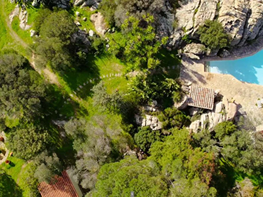 Immagine 82 di Villa in vendita  in via zara a Olbia