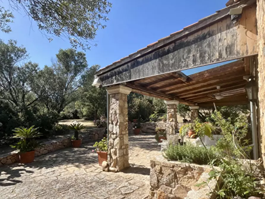 Immagine 84 di Villa in vendita  in via zara a Olbia