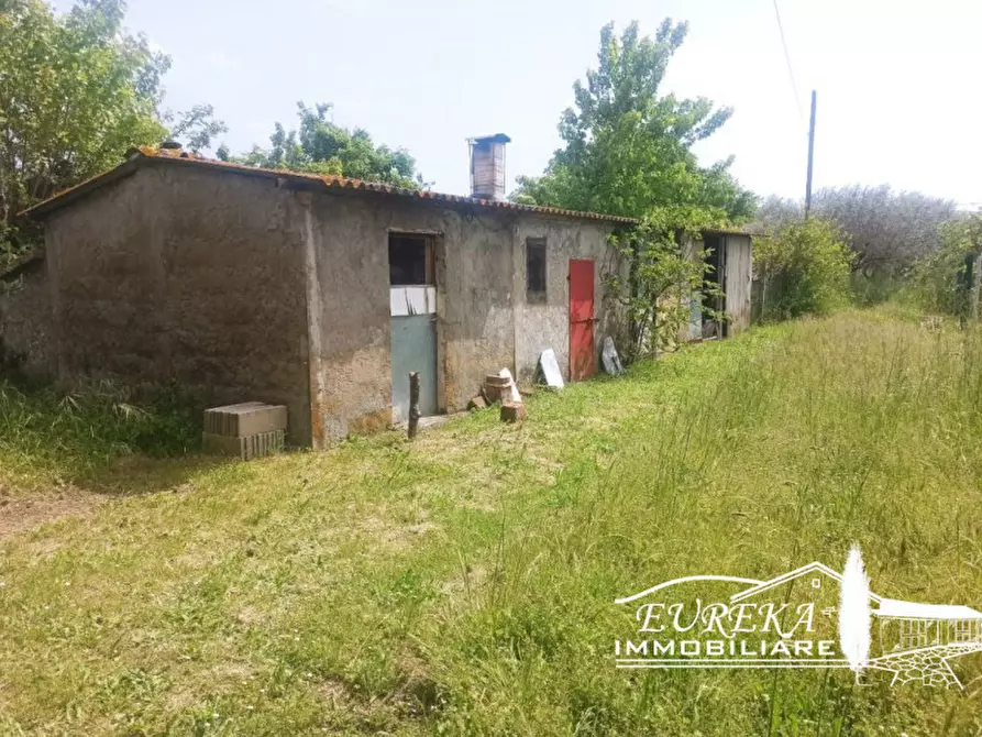 Immagine 22 di Casa indipendente in vendita  a Castiglione Del Lago