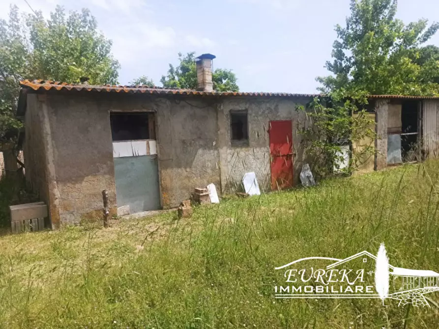 Immagine 23 di Casa indipendente in vendita  a Castiglione Del Lago