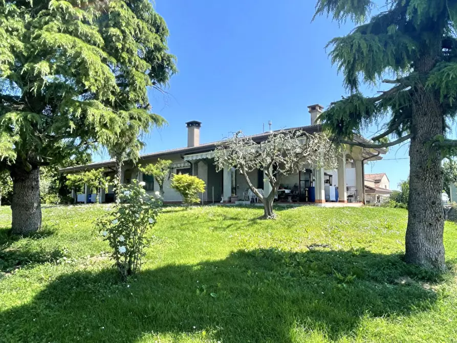 Immagine 1 di Casa bifamiliare in vendita  in Polverara Via Roma a Polverara