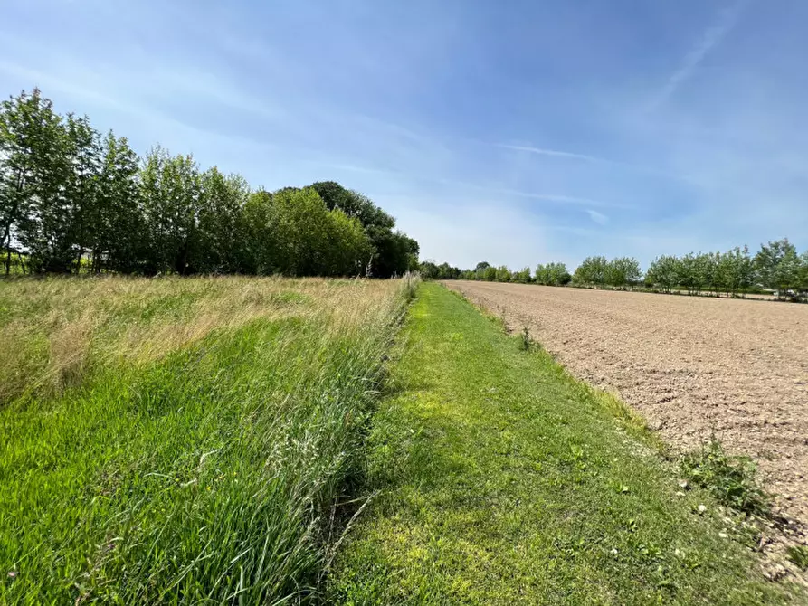 Immagine 1 di Terreno in vendita  in Via Giuseppe Parini a Vigonovo