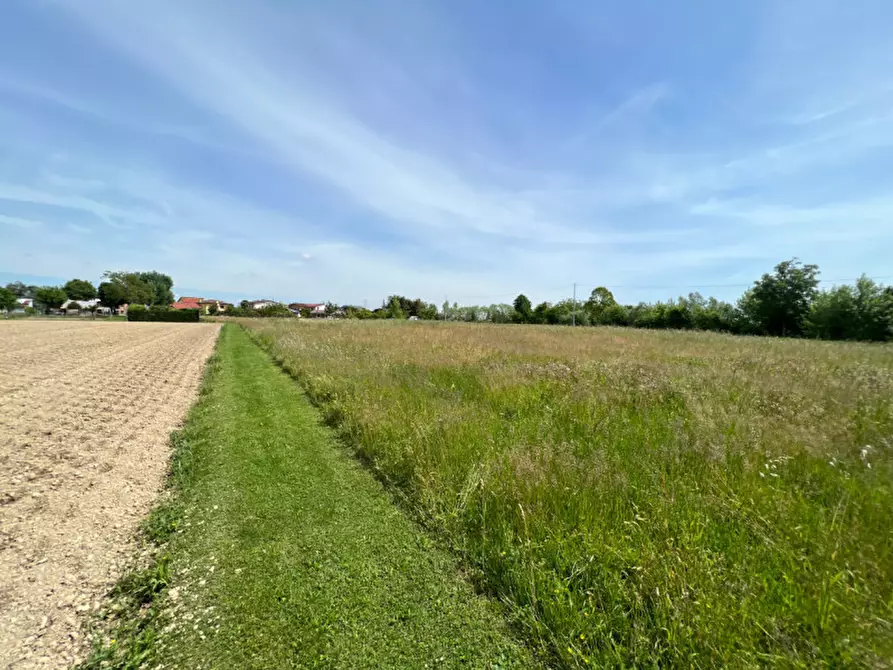 Immagine 1 di Terreno in vendita  in Via Giuseppe Parini a Vigonovo