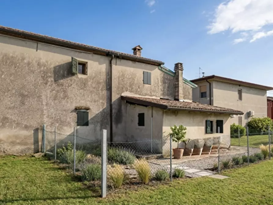 Immagine 7 di Terreno in vendita  in Via Giuseppe Parini a Vigonovo