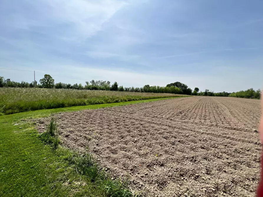 Immagine 9 di Terreno in vendita  in Via Giuseppe Parini a Vigonovo