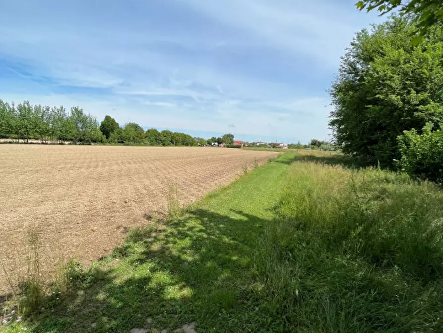 Immagine 10 di Terreno in vendita  in Via Giuseppe Parini a Vigonovo