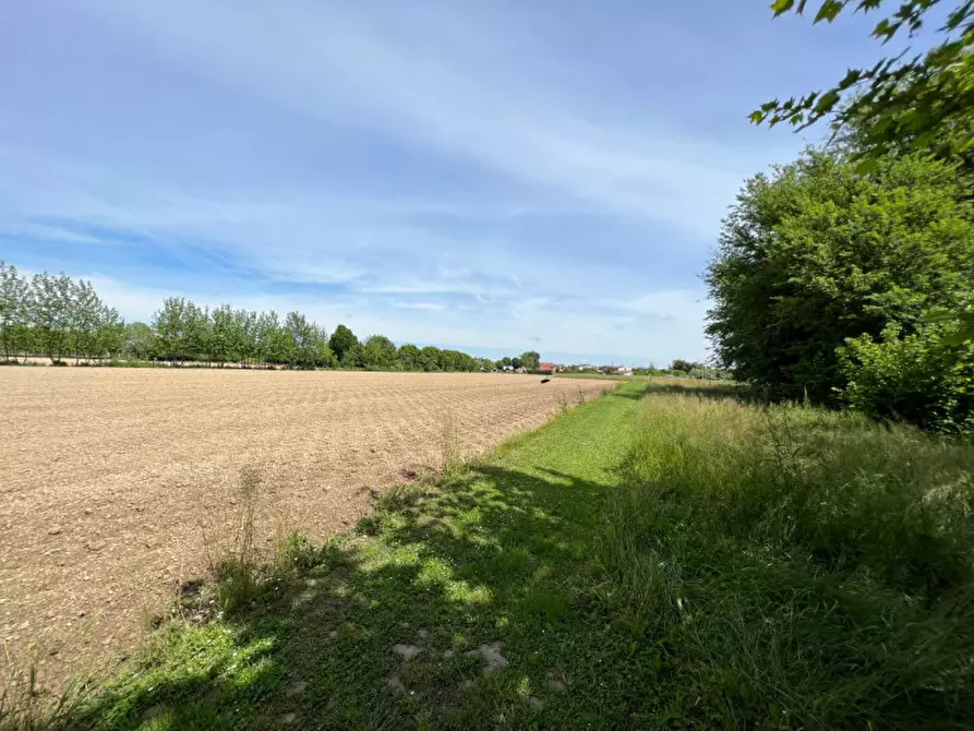 Immagine 15 di Terreno in vendita  in Via Giuseppe Parini a Vigonovo