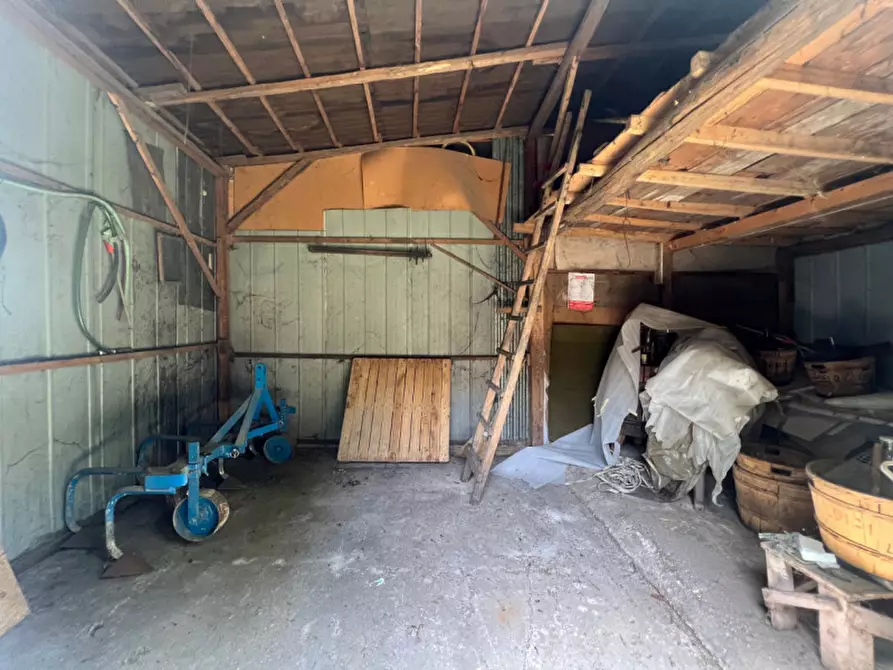 Immagine 15 di Terreno in vendita  in Via Giuseppe Parini a Vigonovo