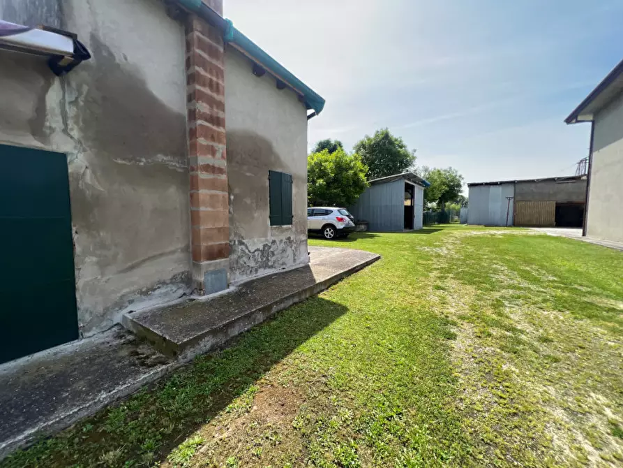 Immagine 24 di Terreno in vendita  in Via Giuseppe Parini a Vigonovo