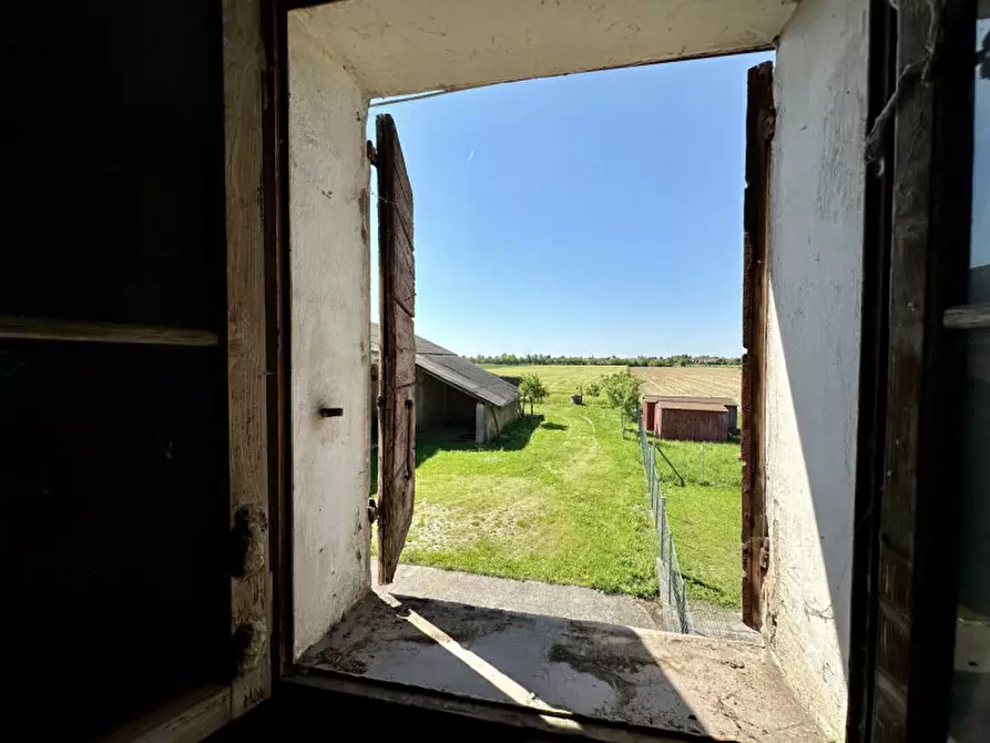 Immagine 10 di Rustico / casale in vendita  in Via Gruato 22 a Casalserugo
