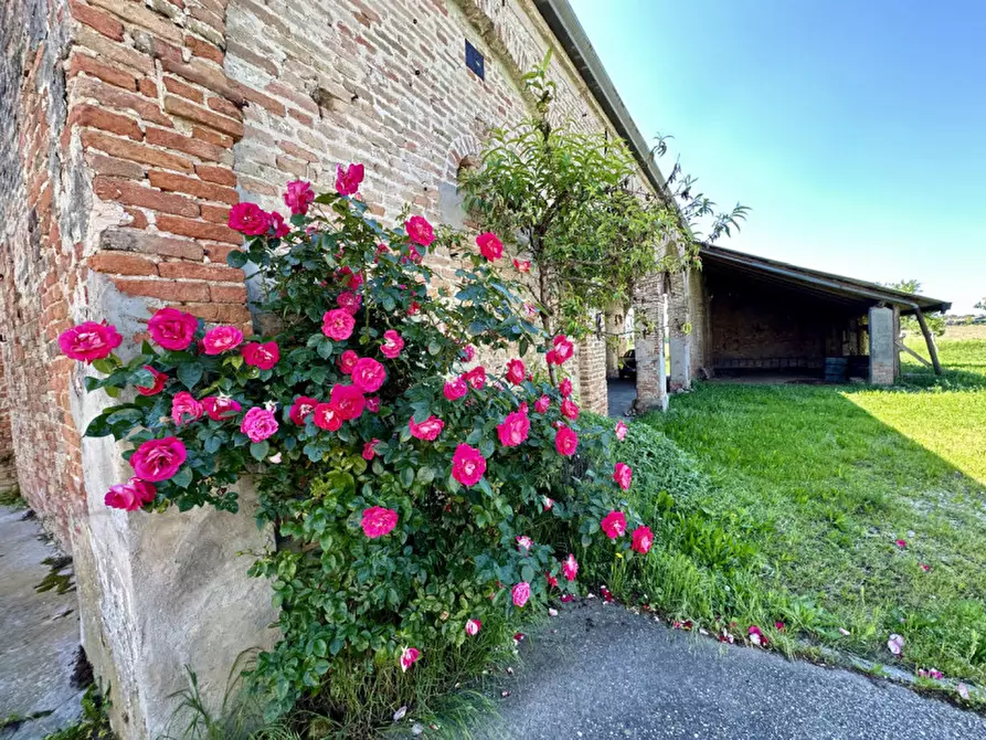 Immagine 16 di Rustico / casale in vendita  in Via Gruato 22 a Casalserugo
