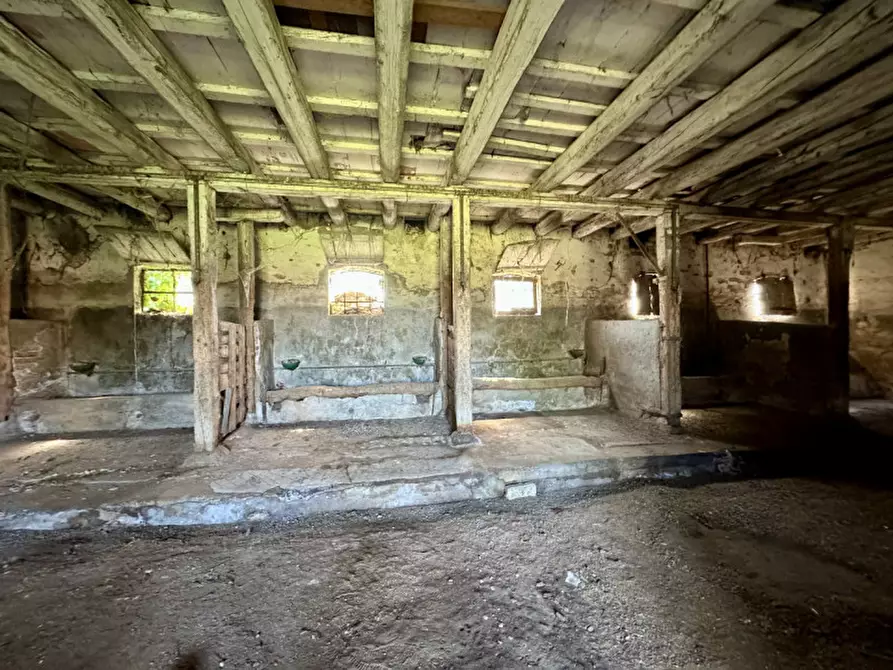 Immagine 19 di Rustico / casale in vendita  in Via Gruato 22 a Casalserugo