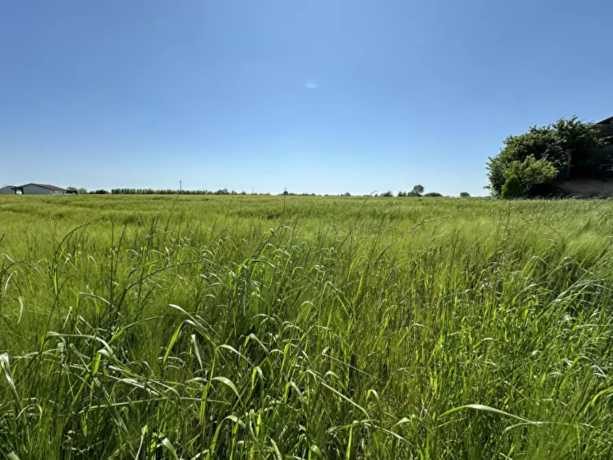 Immagine 27 di Rustico / casale in vendita  in Via Gruato 22 a Casalserugo