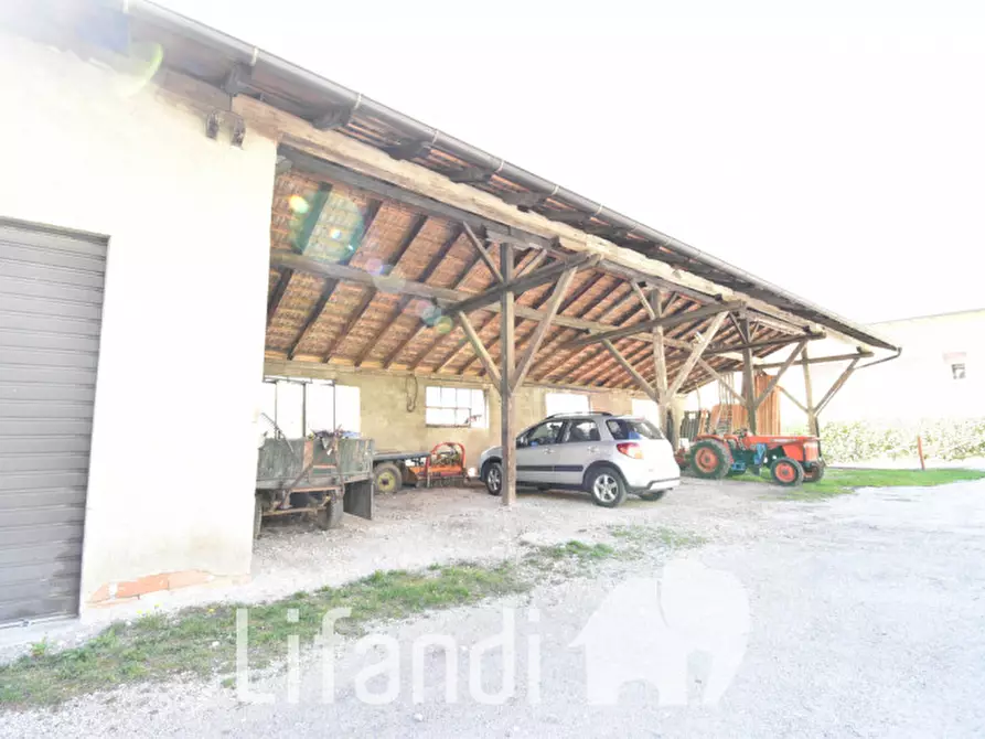 Immagine 2 di Terreno in vendita  a Roverè Della Luna