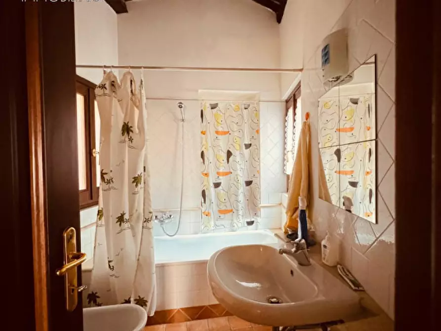 Immagine 28 di Appartamento in vendita  in piazza paolo segneri a Nettuno