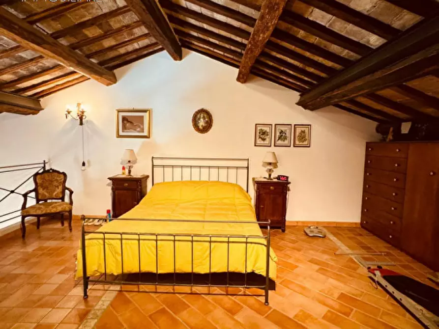 Immagine 37 di Appartamento in vendita  in piazza paolo segneri a Nettuno