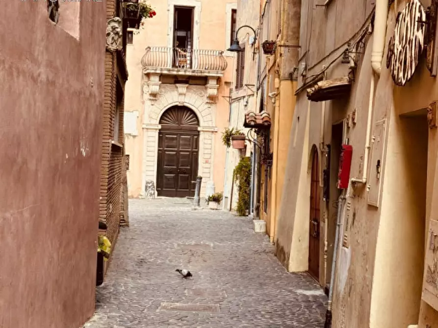 Immagine 55 di Appartamento in vendita  in piazza paolo segneri a Nettuno