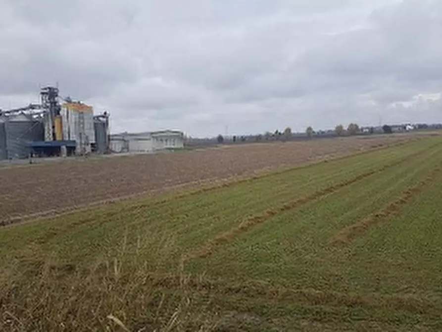 Immagine 1 di Terreno in vendita  in VIA VALMOLIN SUPERIORE a Arqua' Polesine