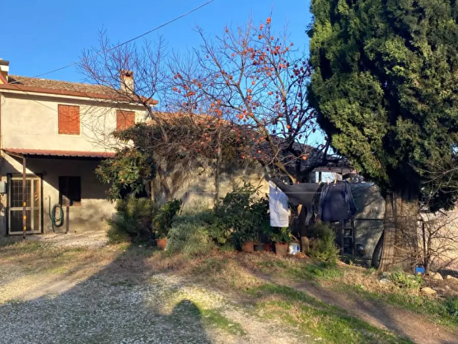 Immagine 1 di Rustico / casale in vendita  a Sossano