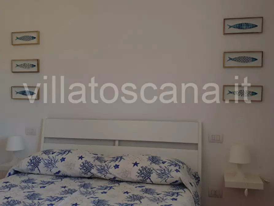 Immagine 23 di Villetta a schiera in vendita  a Castiglione Della Pescaia