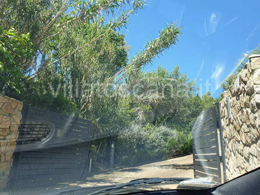 Immagine 31 di Villetta a schiera in vendita  a Castiglione Della Pescaia