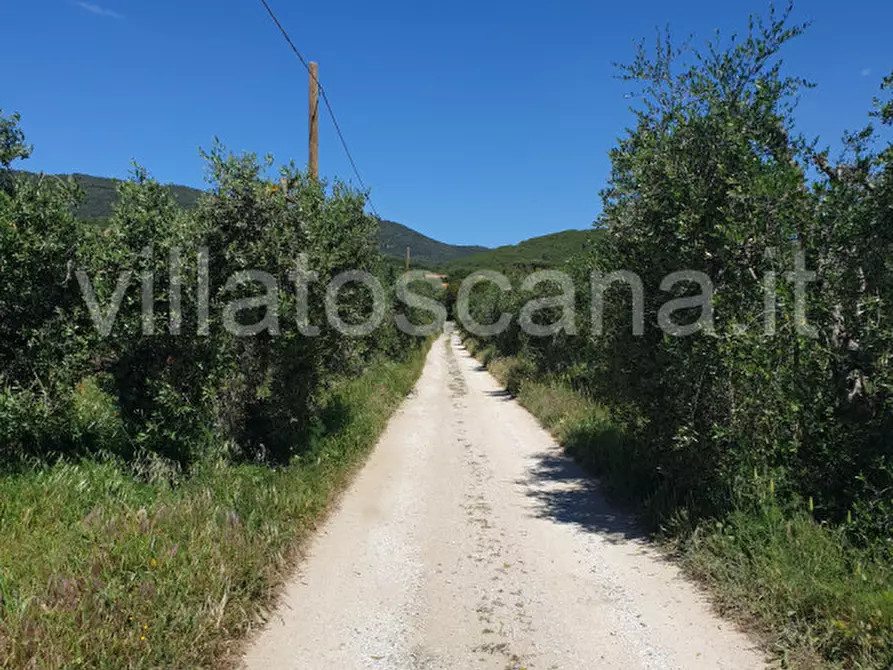 Immagine 32 di Villetta a schiera in vendita  a Castiglione Della Pescaia