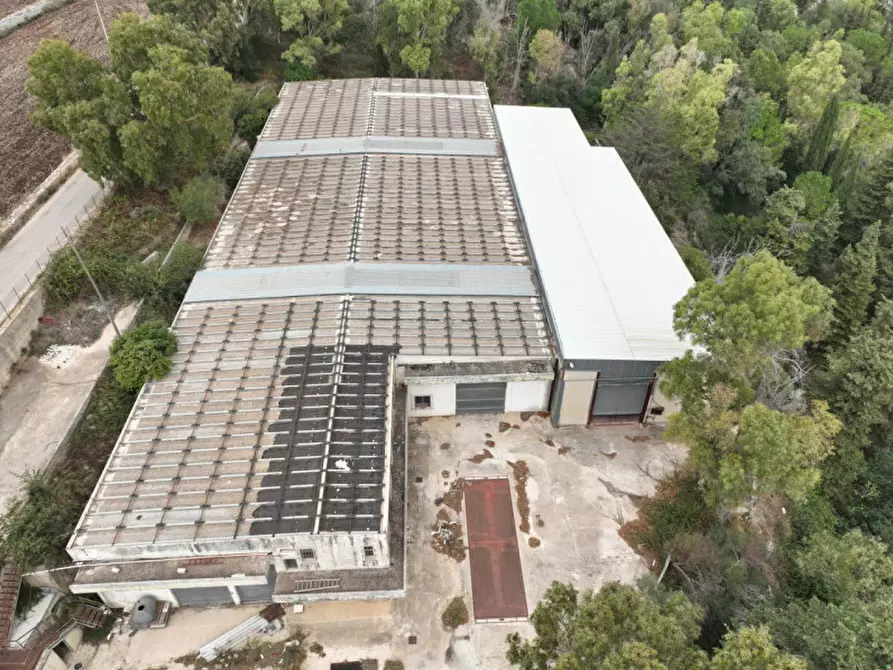 Immagine 9 di Capannone industriale in vendita  in Via Loreto Gallinara a Modica