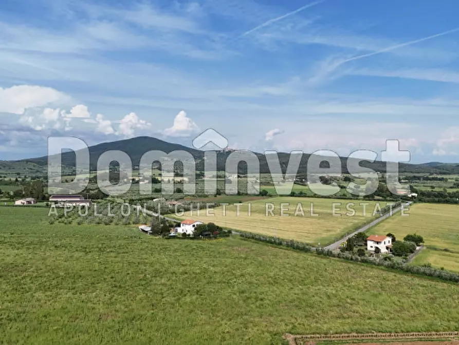 Immagine 13 di Rustico / casale in vendita  in Strada Poggetti a Capalbio