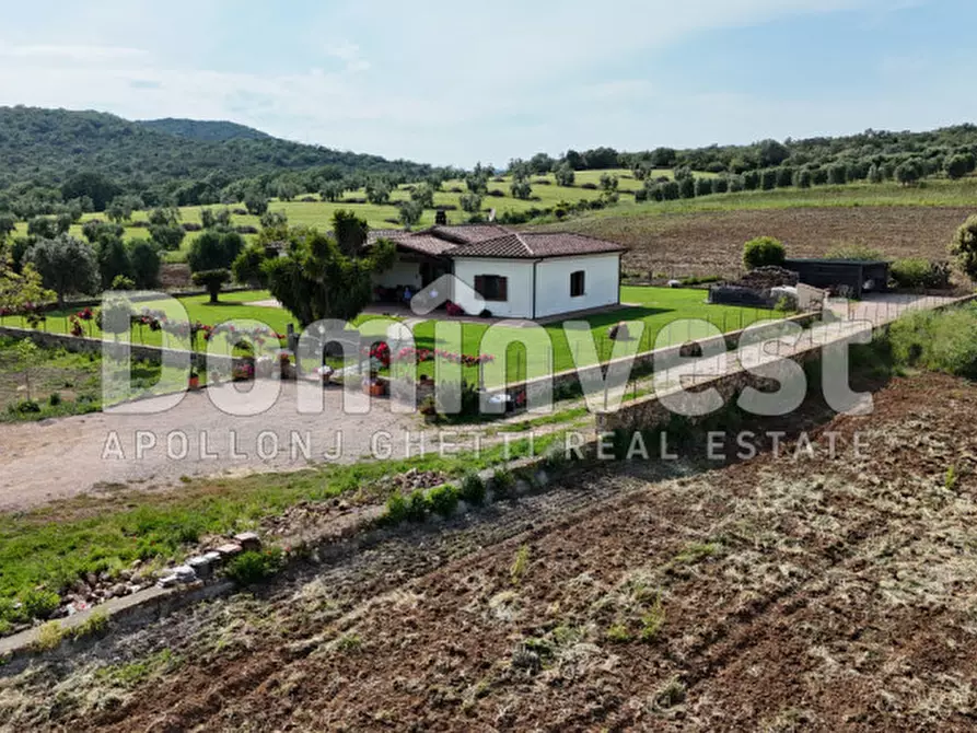 Immagine 15 di Rustico / casale in vendita  in Strada Poggetti a Capalbio