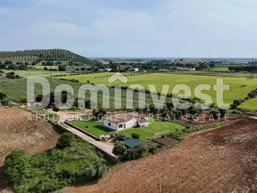 Immagine 18 di Rustico / casale in vendita  in Strada Poggetti a Capalbio