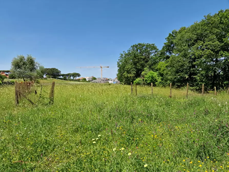 Immagine 2 di Terreno in vendita  in VIA TRICERRO a Roma