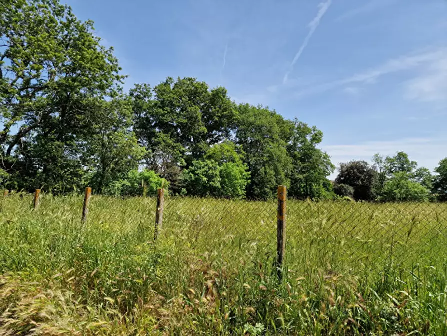 Immagine 8 di Terreno in vendita  in VIA TRICERRO a Roma
