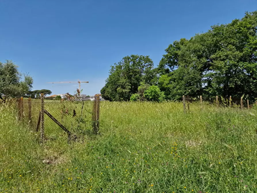 Immagine 9 di Terreno in vendita  in VIA TRICERRO a Roma