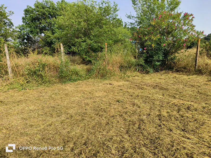 Immagine 13 di Terreno in vendita  in VIA TRICERRO a Roma