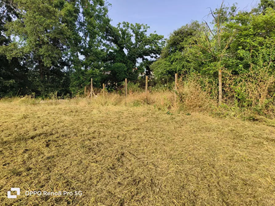 Immagine 16 di Terreno in vendita  in VIA TRICERRO a Roma