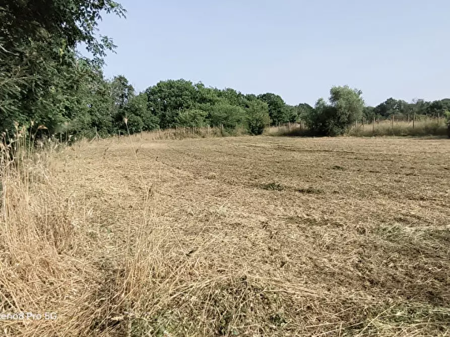 Immagine 17 di Terreno in vendita  in VIA TRICERRO a Roma