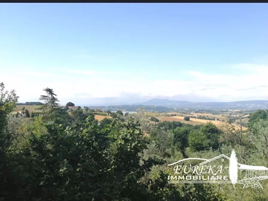 Immagine 20 di Villa in vendita  in Gioiella a Castiglione Del Lago