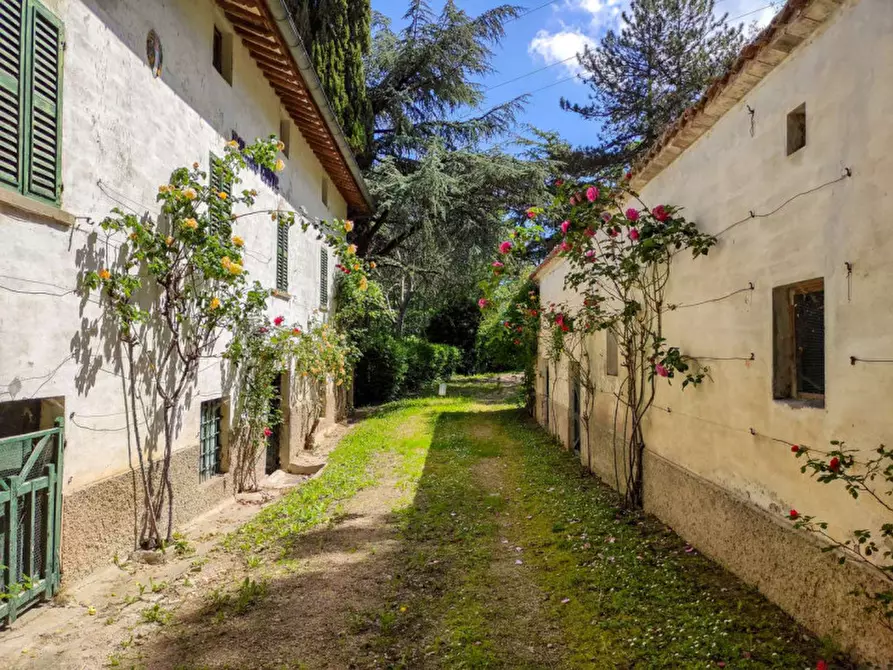 Immagine 5 di Rustico / casale in vendita  in via Molinello a Sant'angelo In Vado